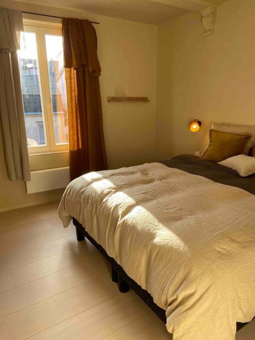 Suites Du Trefle Colmar Esterno foto